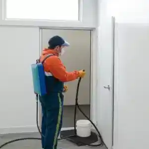 Dezenfeksiyon Nedir