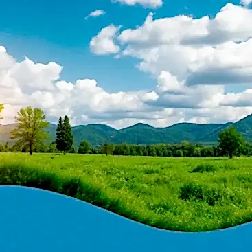 çevre danışmanlığı